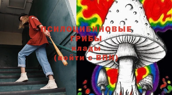 a pvp Чекалин