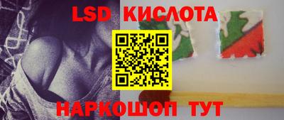 PSILOCYBIN Камышлов