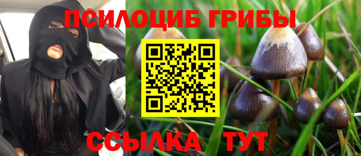 Раменское  Галлюциногенные грибы MAGIC MUSHROOMS  Вход с VPN 